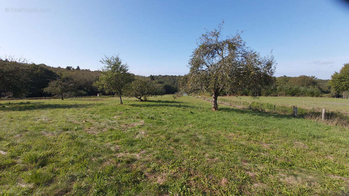 20200930_111329 - Terrain à AUGIGNAC