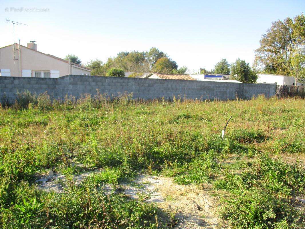 Terrain à SAINTE-FOY