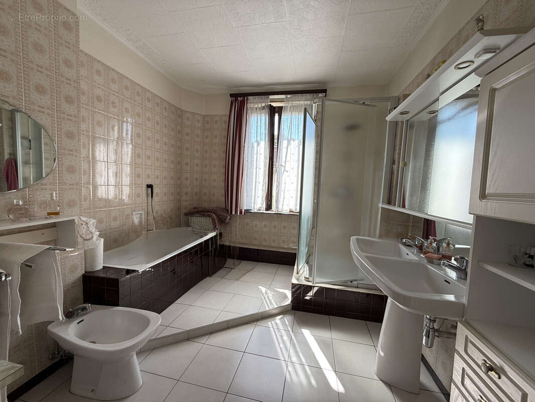 Mulhouse maison 6 pieces au calme de 120 m2 avec comble aménageable sur 2.88 ares clos et arboré - photo 13