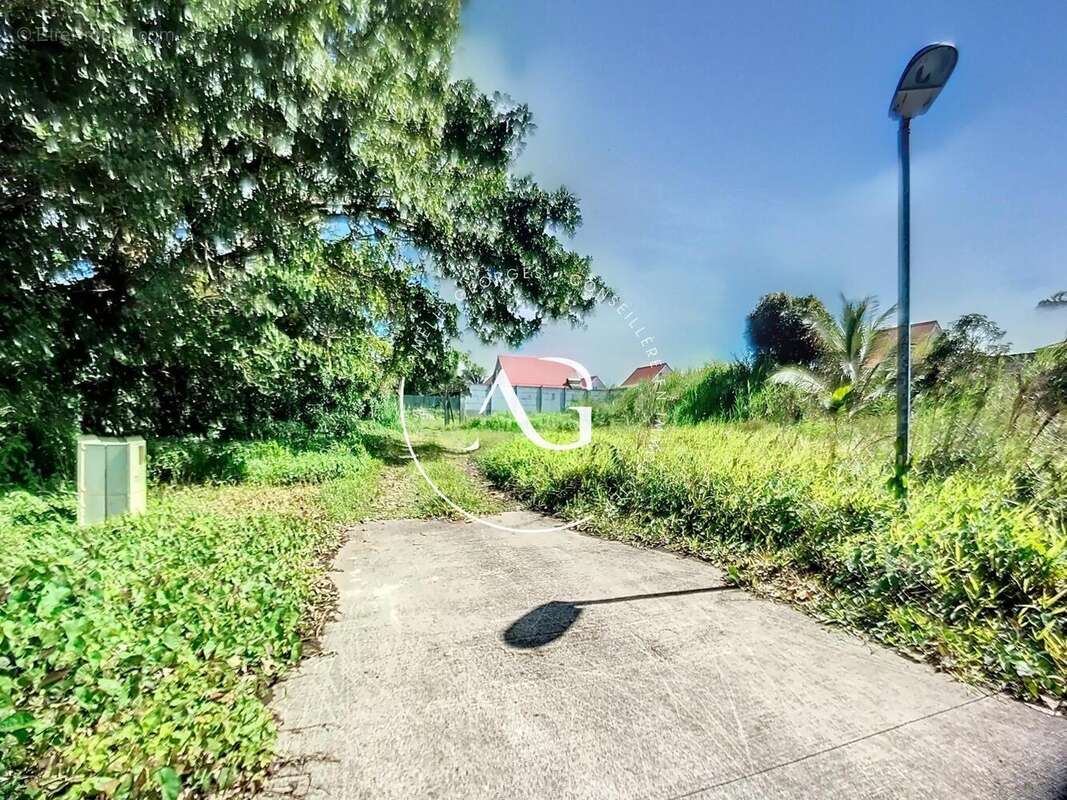 Photo 3 - Terrain à LE MORNE-ROUGE