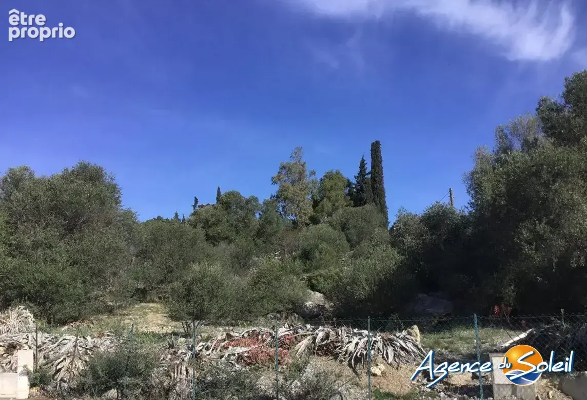 Terrain 729 m² à vendre à La Palme (11480) - photo 2