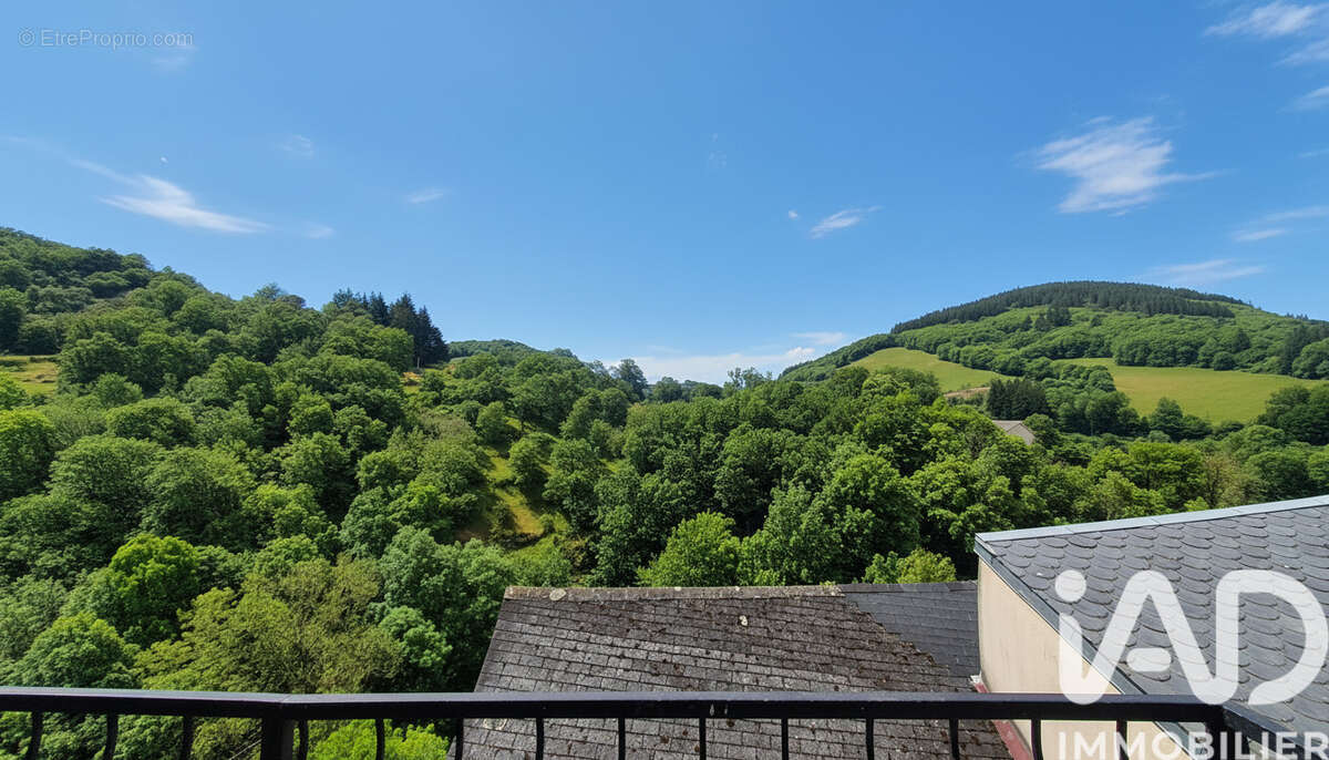 Maison 110 m² à Saint-Sernin-Sur-Rance  - photo 8