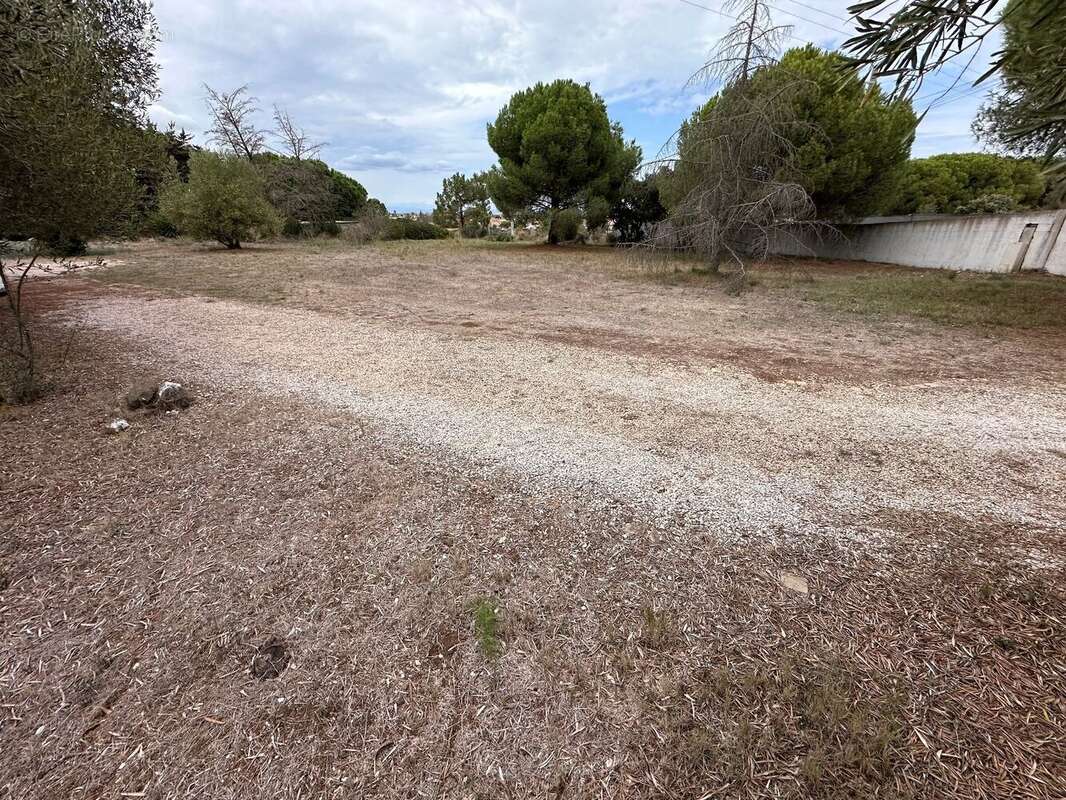 Agde 34300 Vue dégagée jusqu'a la Mer Terrain à bâtir de 690m² avec permis de construire pour une Villa en R+1 piscine-pool hous - photo 2