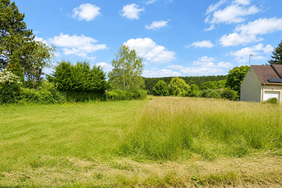 Terrain à NOGENT-LE-ROI