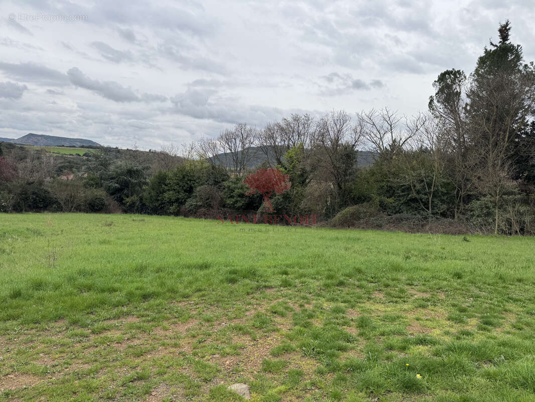 Terrain à LE BOSC