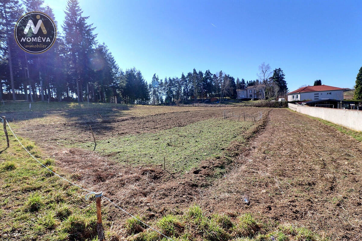 Terrain à MONTFAUCON-EN-VELAY
