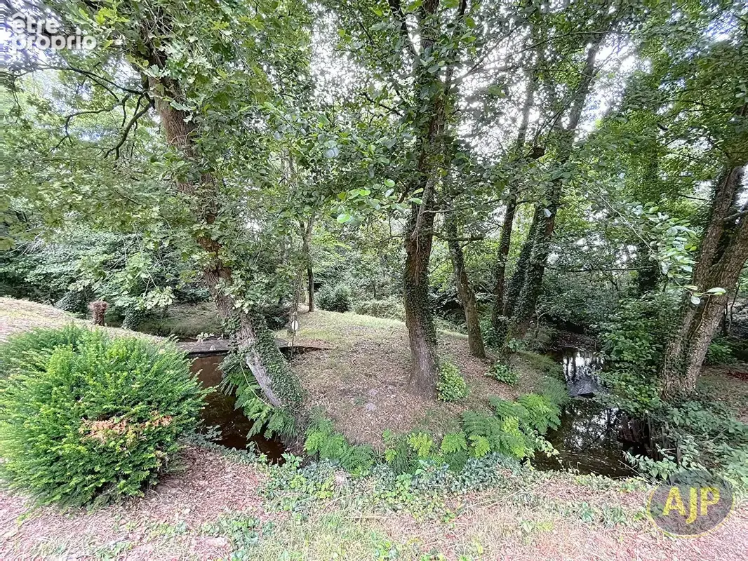 Propriété Salles - photo 12