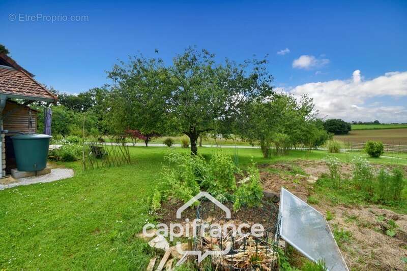 Propriété avec gîtes et chambres d’hôtes dans dépendances séparées et Maison bressane rénovée de 140 m² – Terrain 4374 m² –LOUHA - photo 47