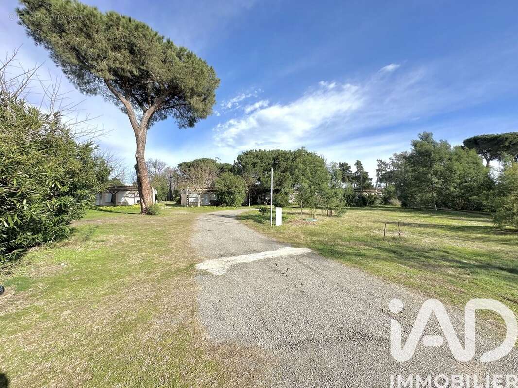 Photo 3 - Appartement à CASTELLARE-DI-CASINCA