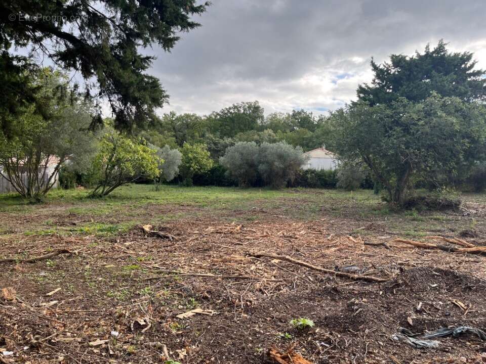 Terrain à MALATAVERNE