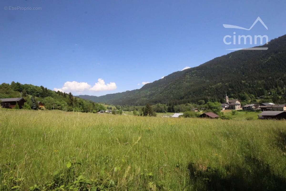 Grand terrain - photo 9