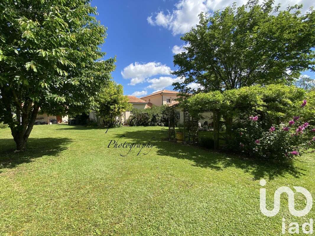 Photo 4 - Maison à CHAUVIGNY