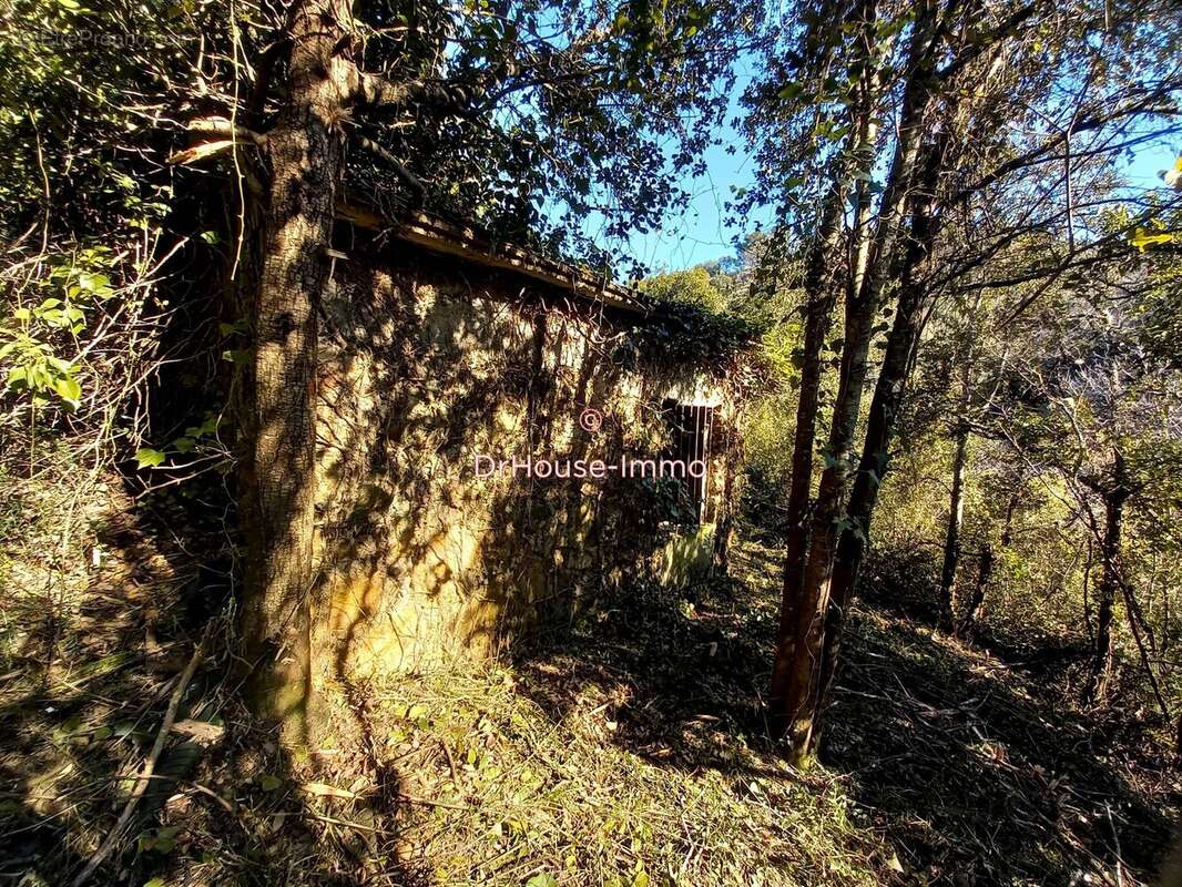 Terrain 7332 m² à Llauro  - photo 6