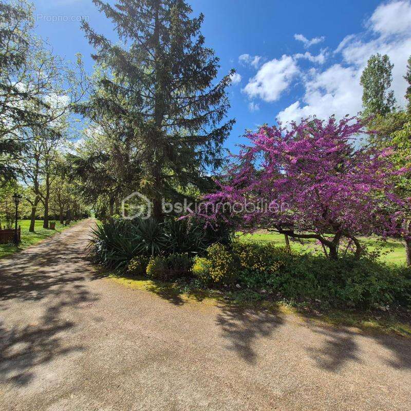 Propriété de prestige au cœur d’un domaine boisé – proche angers - photo 7