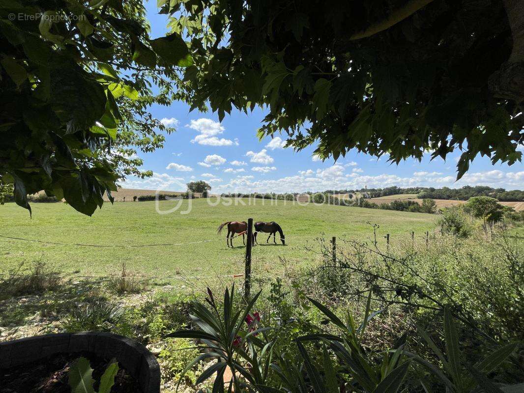 Maison à MARSSAC-SUR-TARN