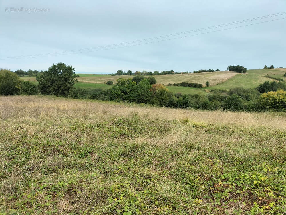 Terrain à MARGOUET-MEYMES