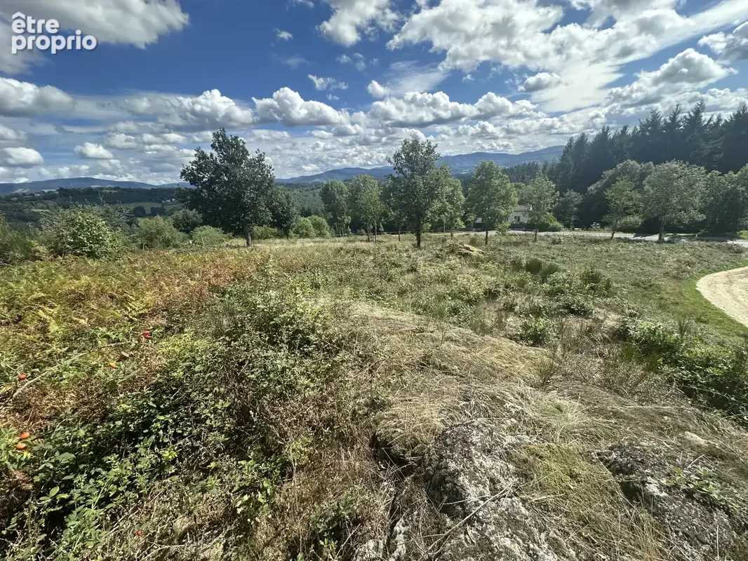 Terrain avec joli point de vue - photo 2