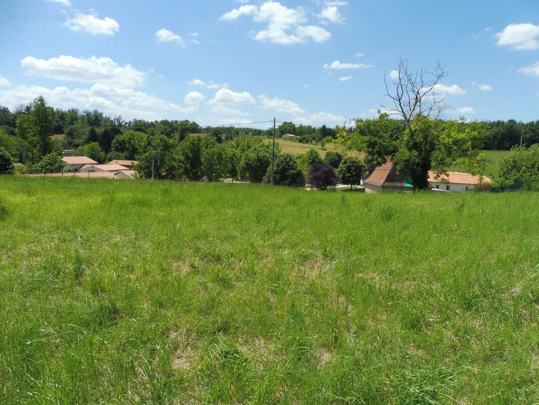 Au coeur du village - photo 39
