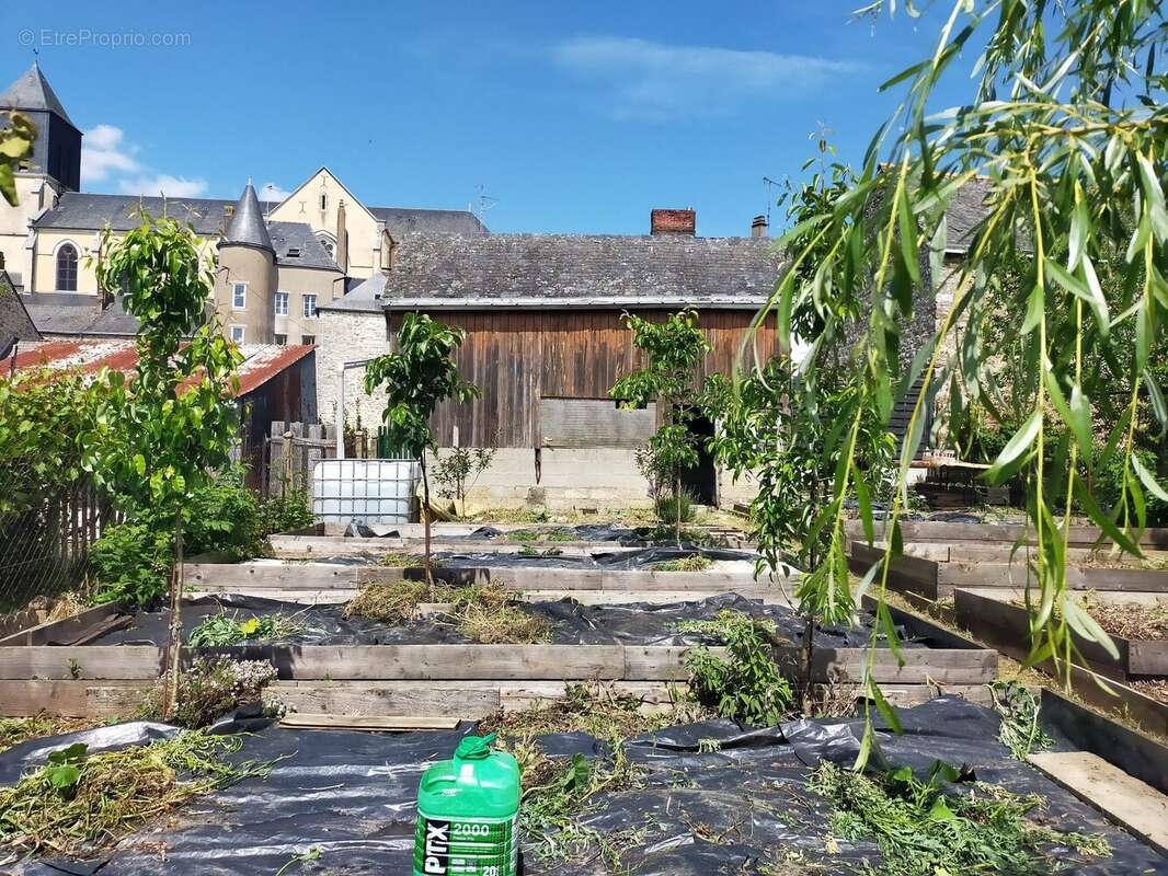 jardin permaculture Andouillé - Terrain à ANDOUILLE