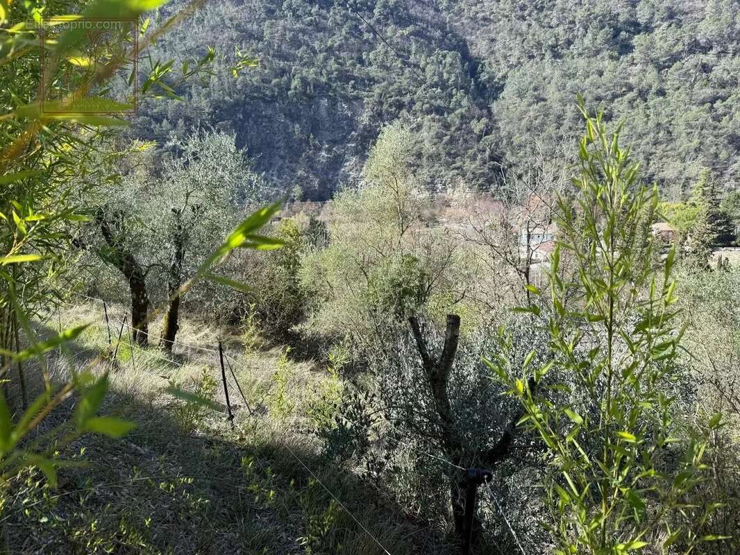 Terrain à L'ESCARENE