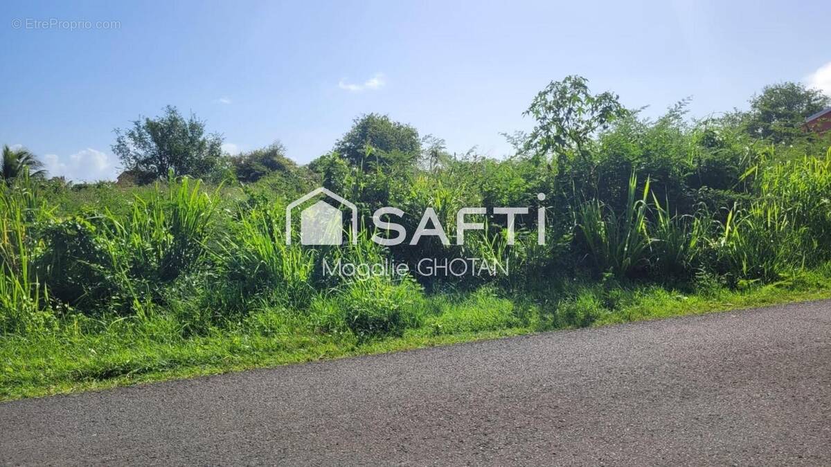 Photo 1 - Terrain à LE MOULE