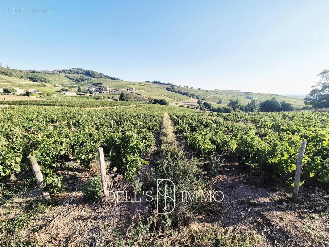 Terrain à FLEURIE