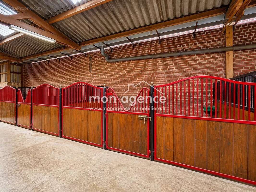 Haras d'exception de 12 hectares aux portes du Pays de Bray - photo 6