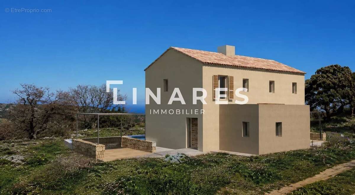 HAVRE DE PAIX - Terrain plat de 2419m2 - Vue panoramique - 20260 Lavatoggio/Balagne - photo 3