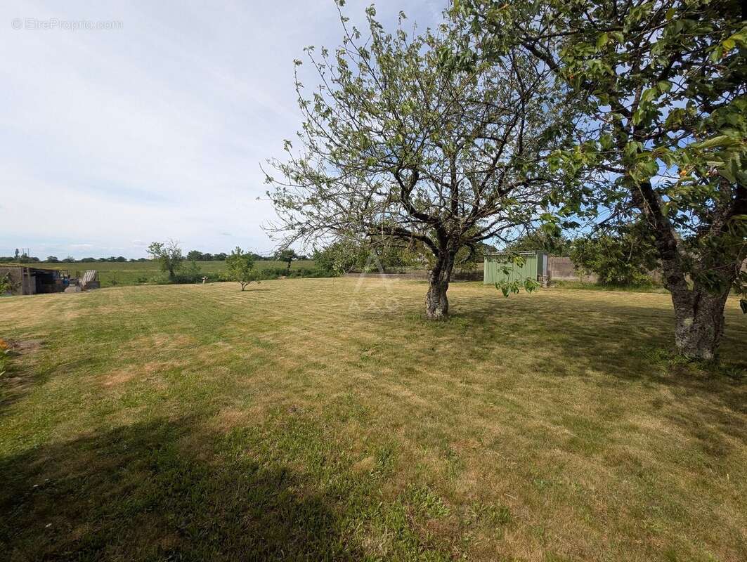 Terrain à BOUSSAY