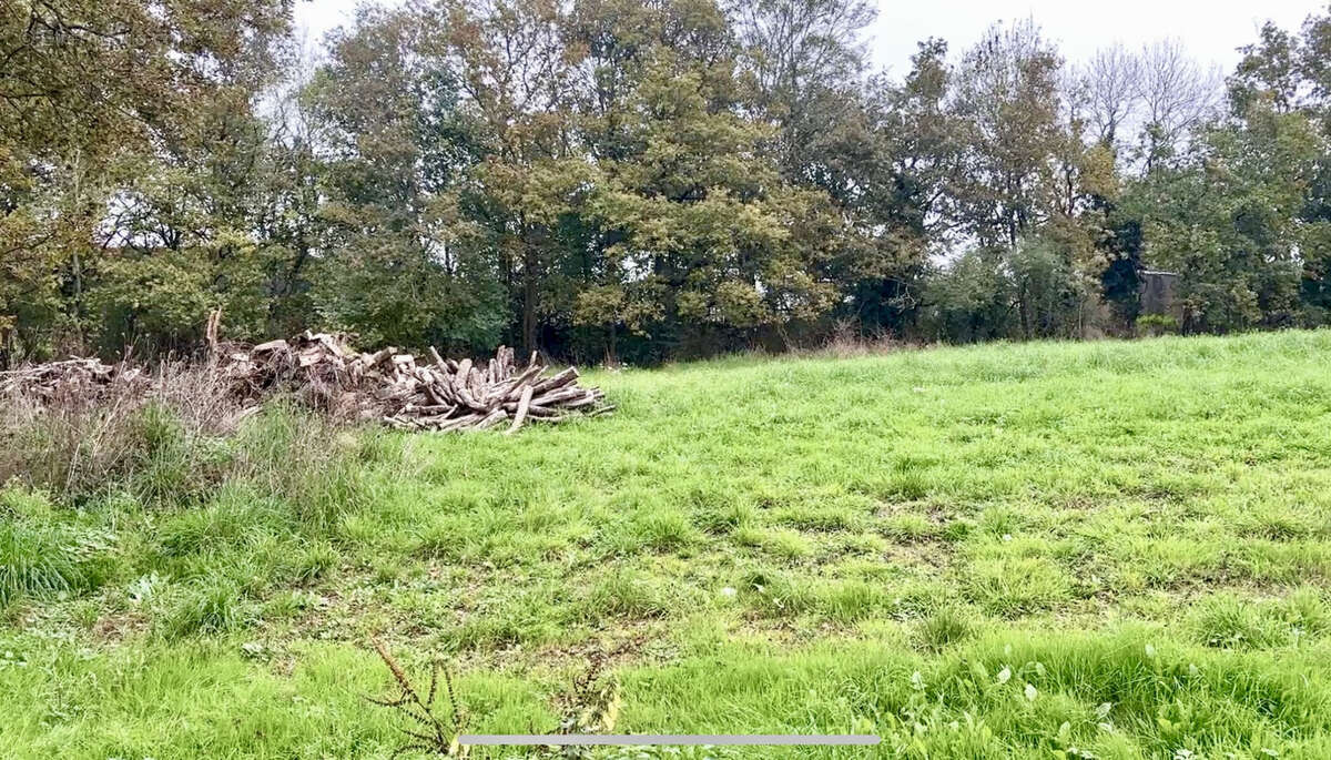 Terrain à LA ROCHE-SUR-YON