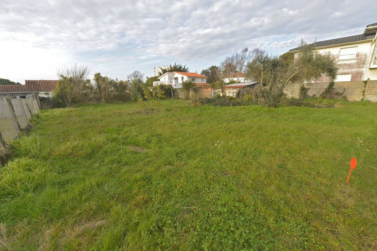 Terrain à SAINT-GEORGES-DE-DIDONNE