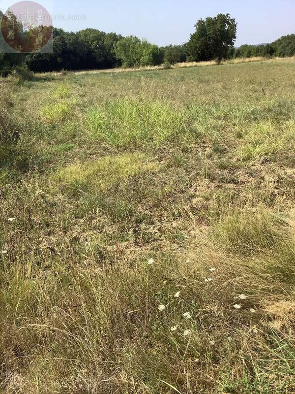 Terrain constructible de 3706 m² pour differents projets de construction - photo 4