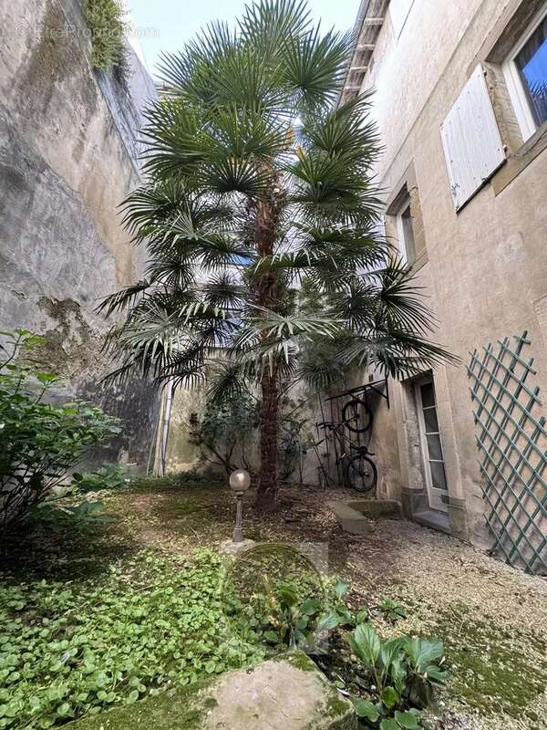 Appartement à CASTELNAUDARY