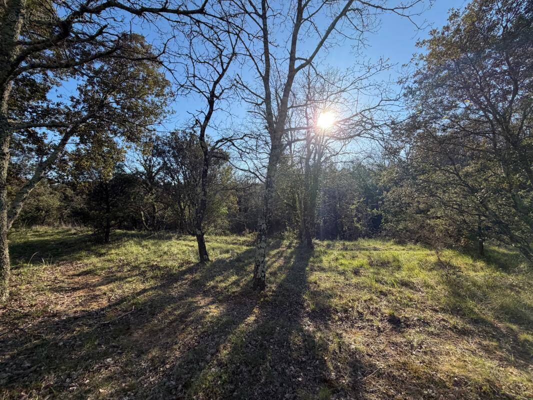Terrain à VALLON-PONT-D'ARC
