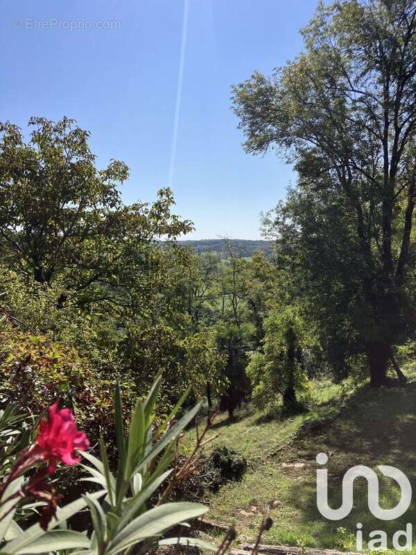 Photo 3 - Maison à SALLES-DE-BELVES