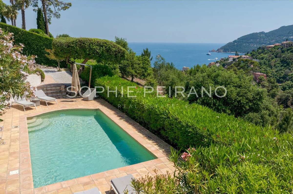 Maison à MANDELIEU-LA-NAPOULE