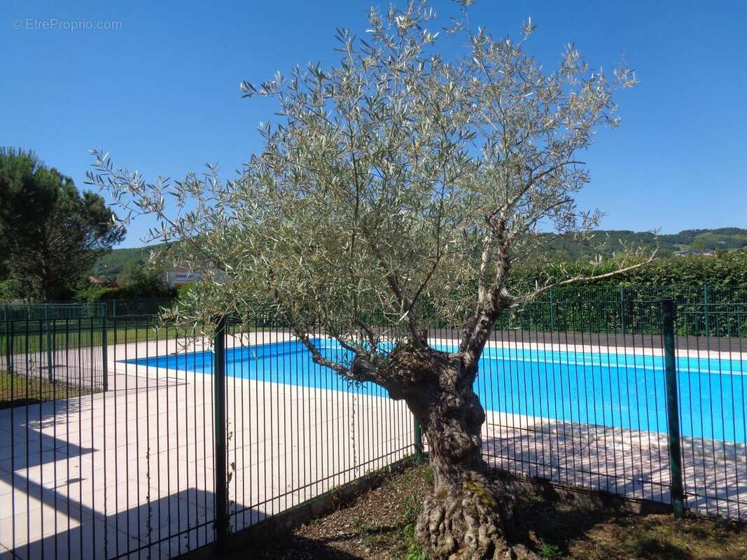 Appartement à LARCHE