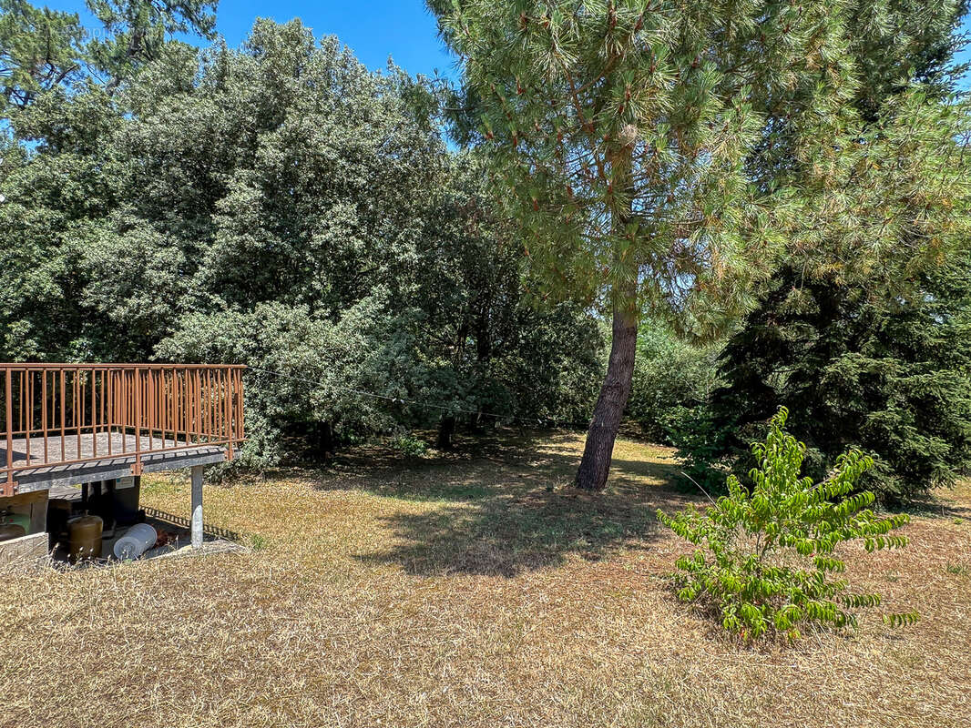 Terrain 1500 m² à Saint-Palais-Sur-Mer  - photo 6