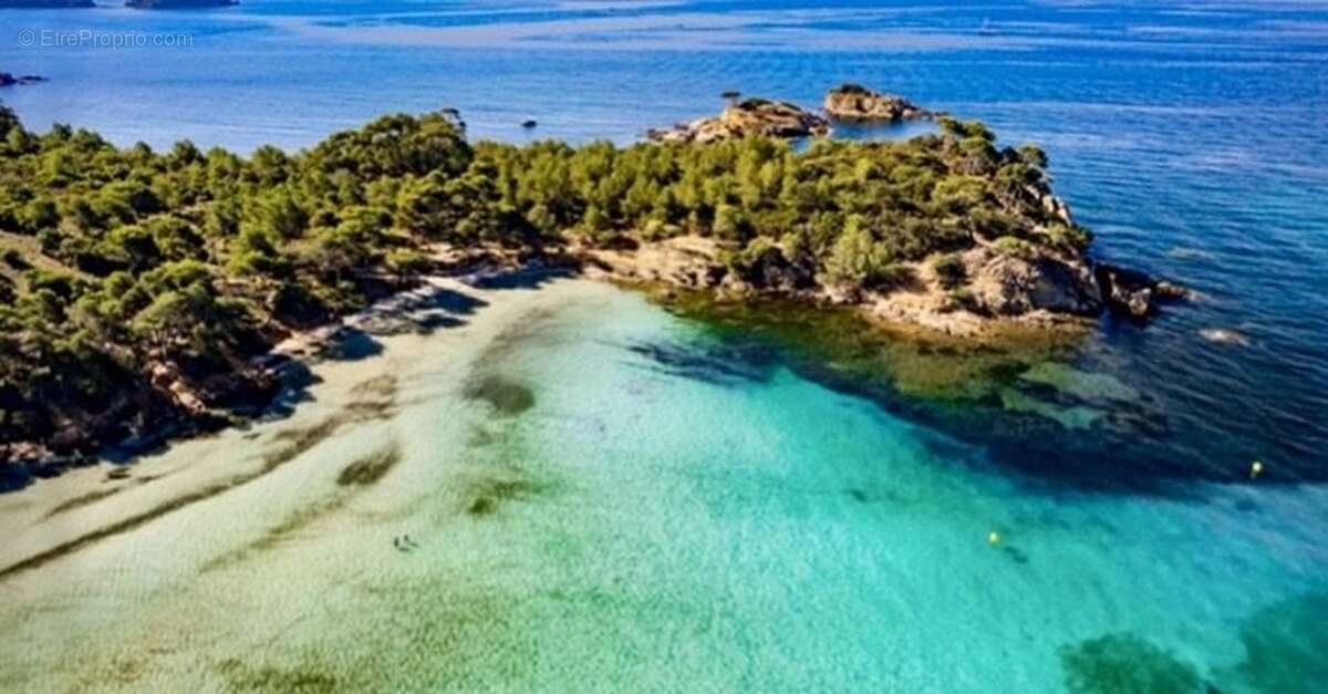 Appartement à BORMES-LES-MIMOSAS