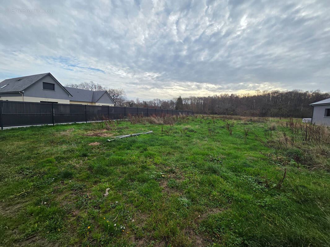 Terrain à LE LANDIN