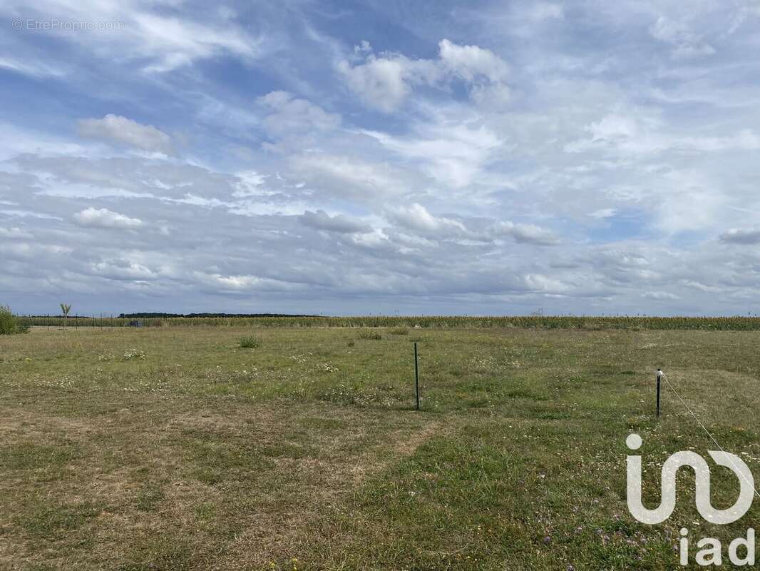 Terrain 1500 m² à Saint-Bohaire  - photo 2