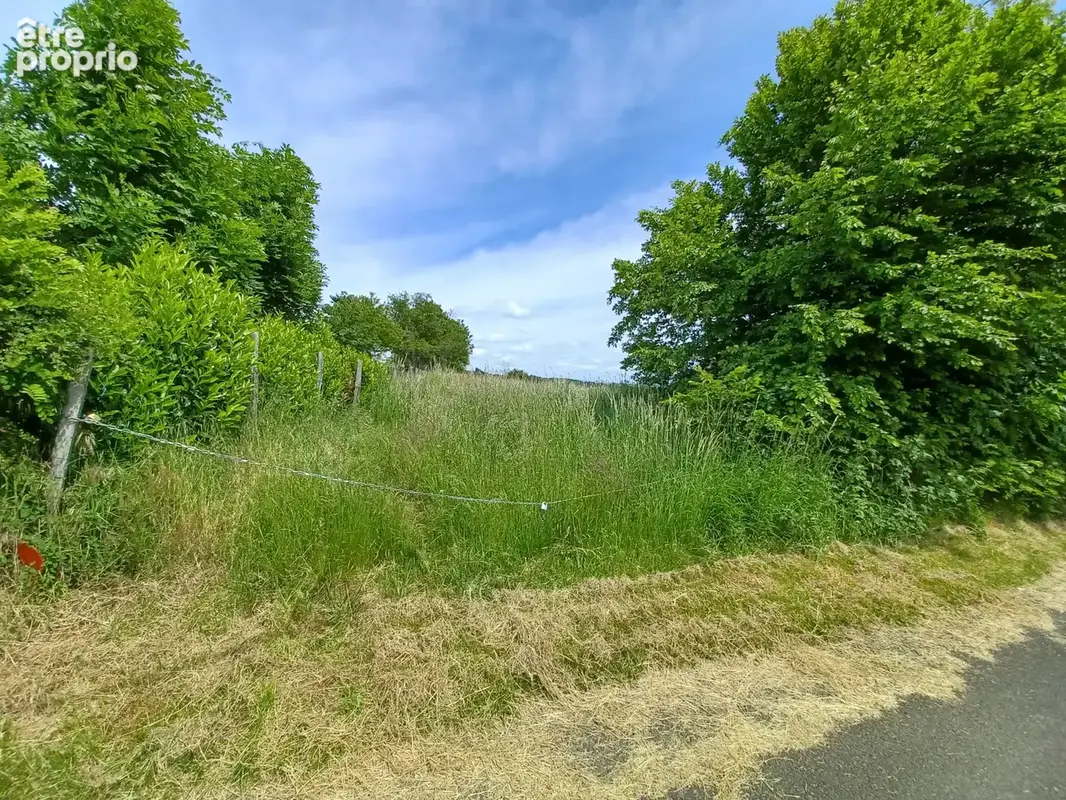 Terrain de 22 753 m2 en partie constructible - photo 5