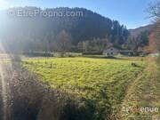 Terrain à SAINT-MAURICE-DE-LIGNON