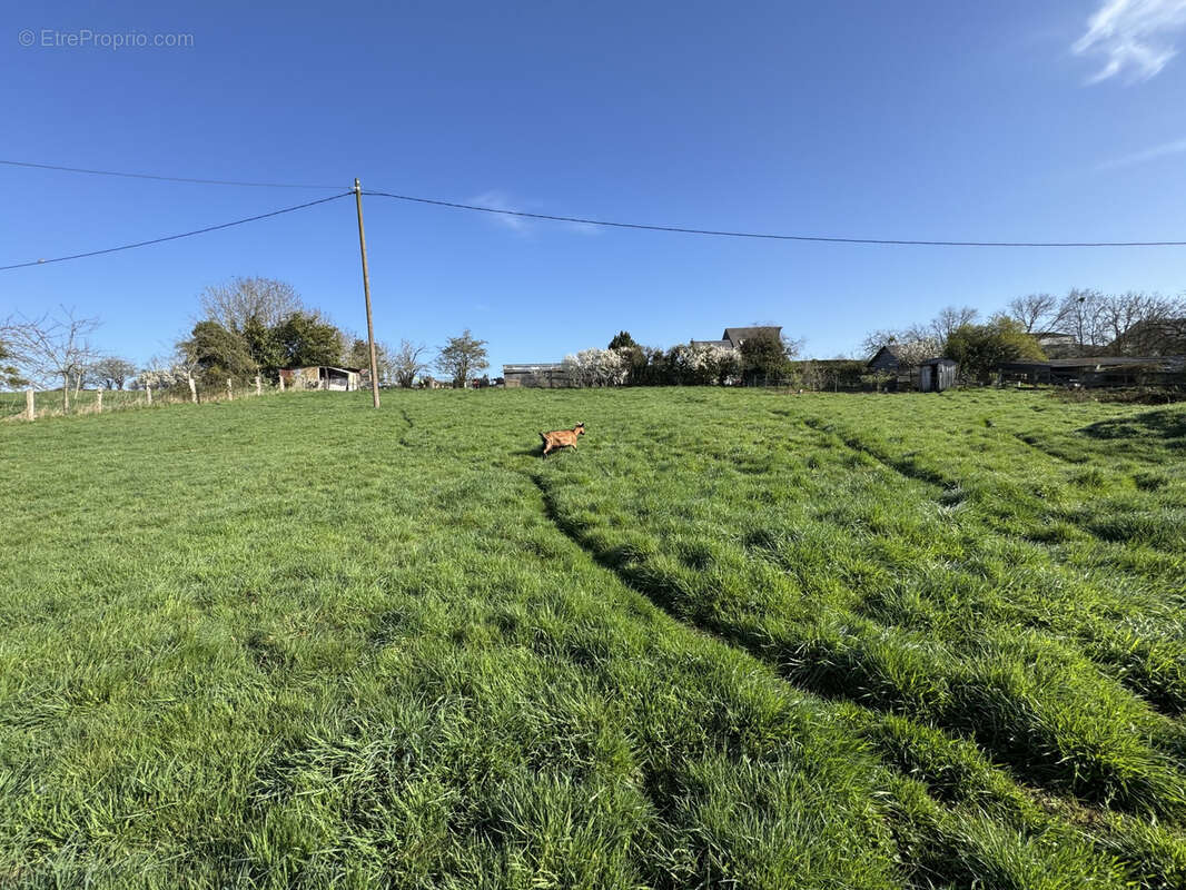 Terrain à THURY-HARCOURT
