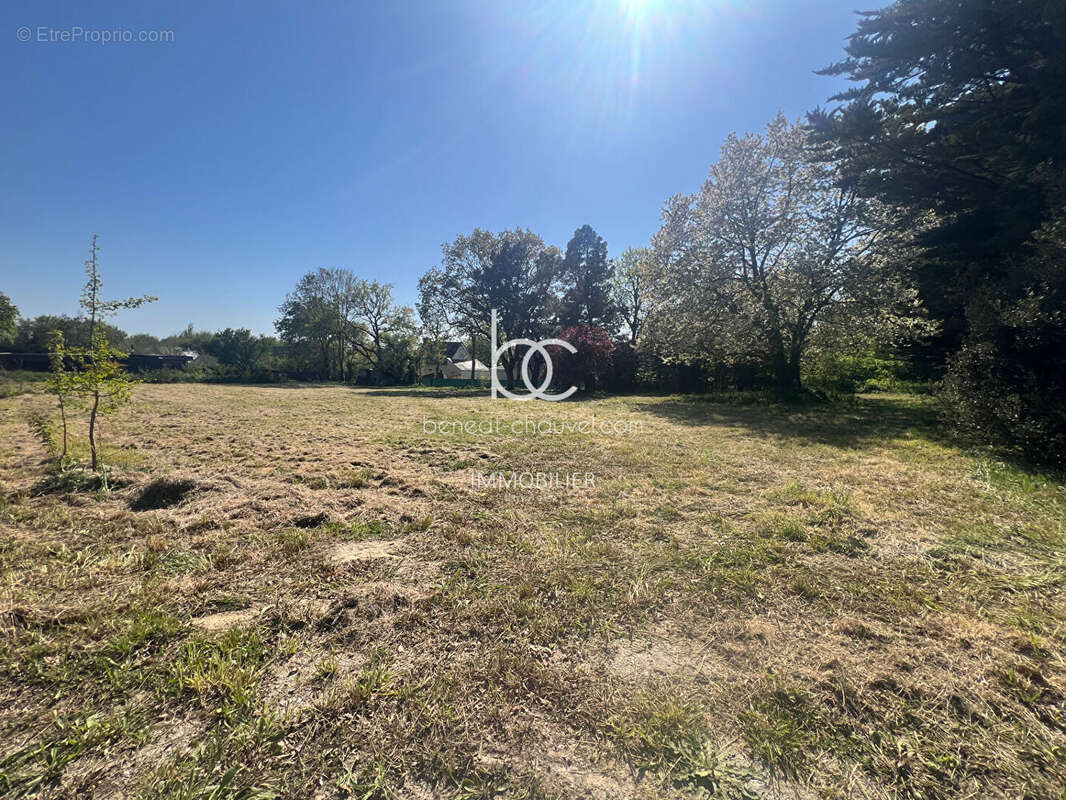 Terrain à SARZEAU