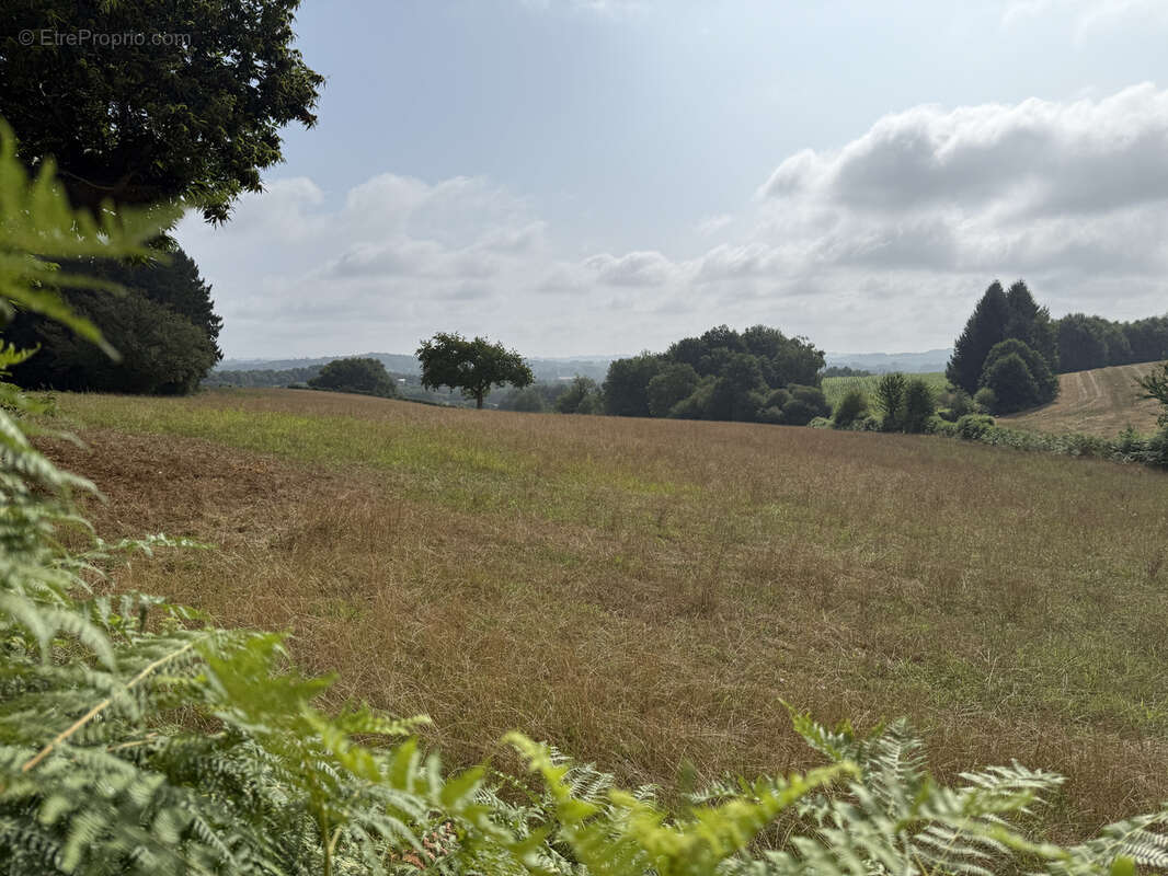 Terrain à SAINT-PARDOUX-L'ORTIGIER