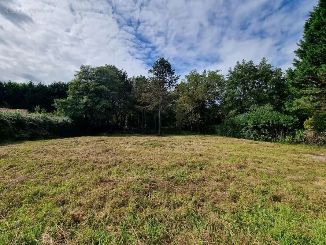 Terrain à BENESSE-MAREMNE