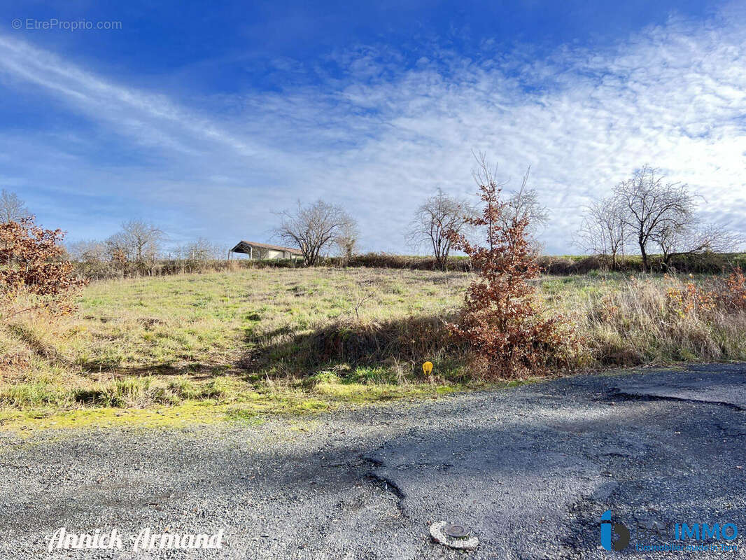Vue à l\&#039;arrivée / Accés terrain - Terrain à REALMONT
