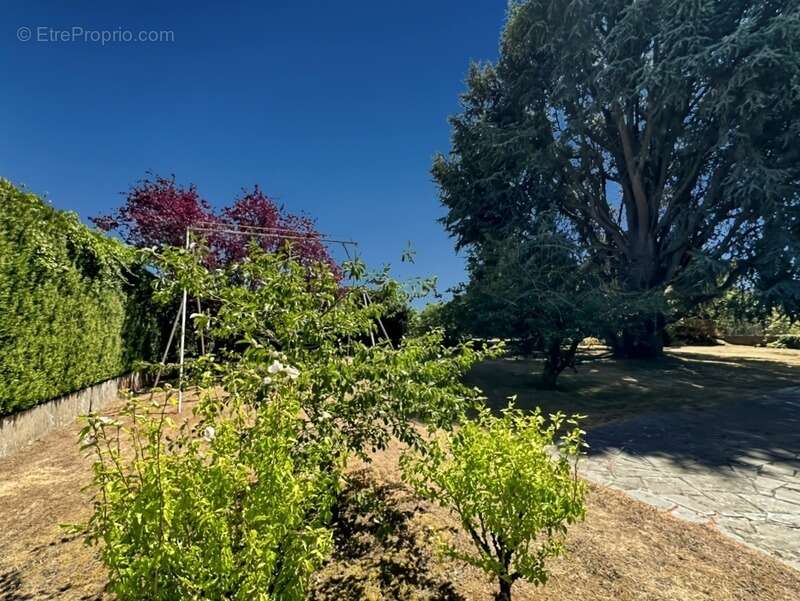 REMAUVILLE (77) Longère authentique de 131 m² sur terrain de 941 m2 - photo 6