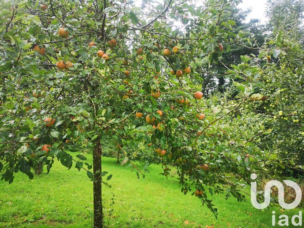 Photo 3 - Terrain à QUIMPER